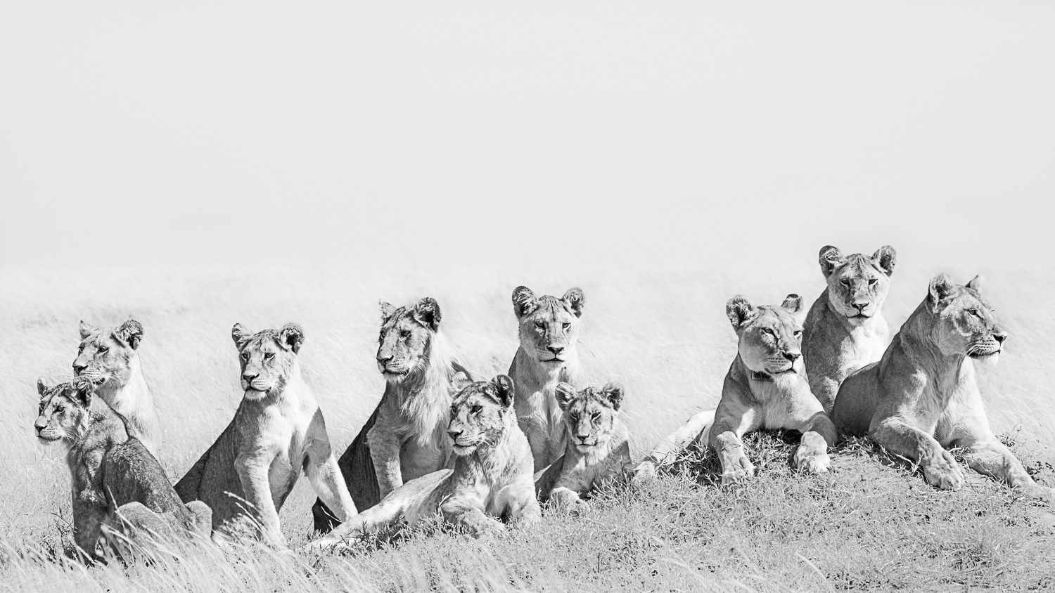 Umoja