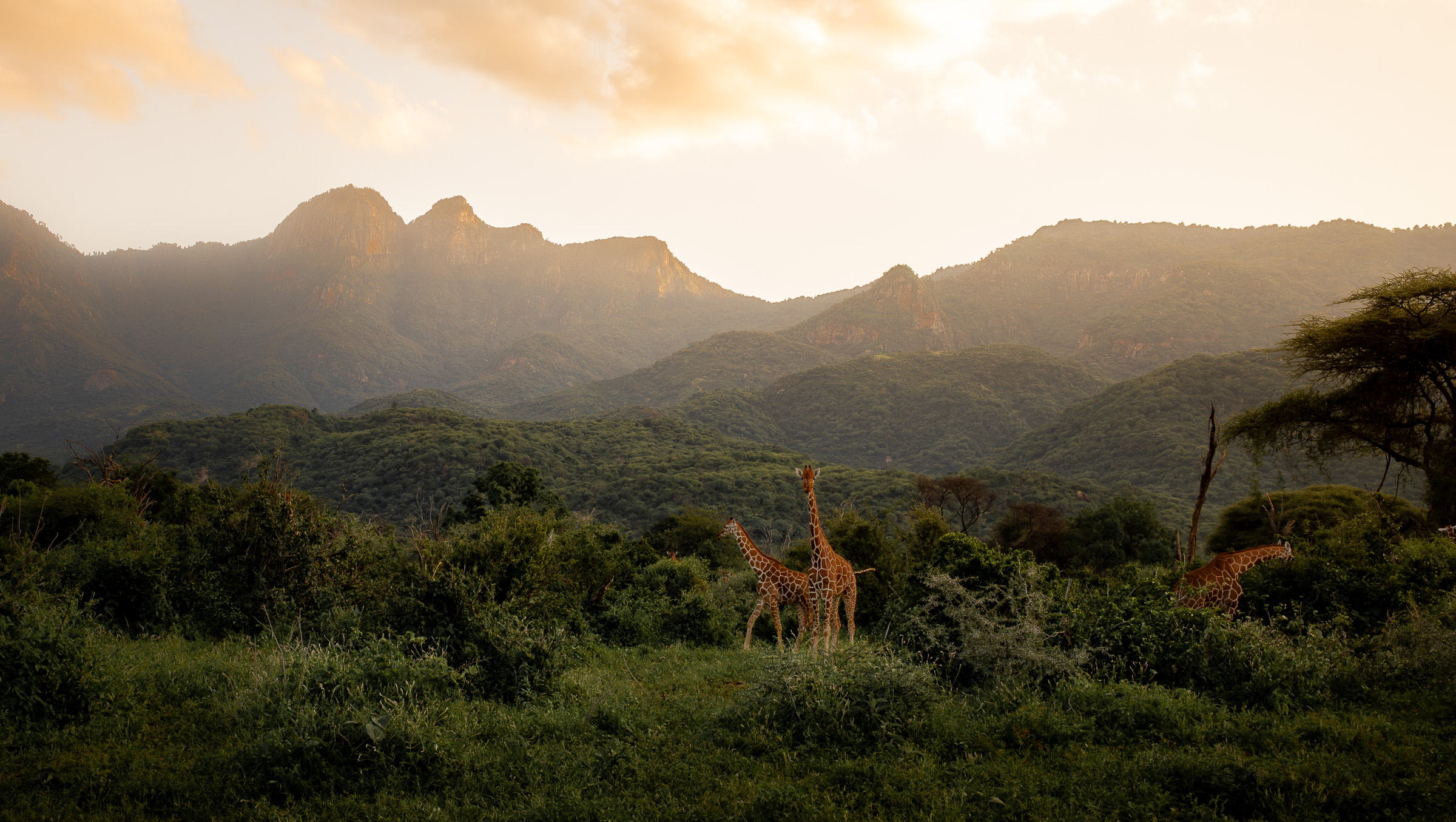 The Power of Martha Matthews: Architect of Modern Storytelling in Divorce